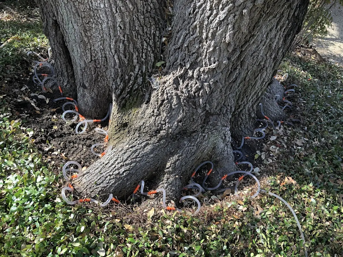 Detailed Shrub and Hedge Trimming job site in Holdenville