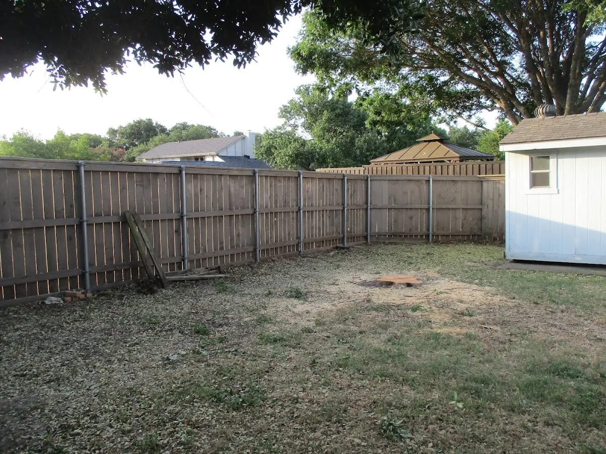 Cleared yard after professional tree removal in Holdenville